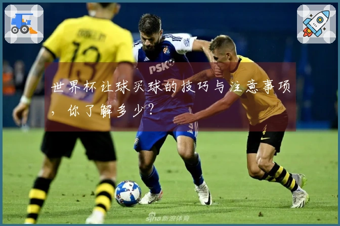 世界杯让球买球的技巧与注意事项,你了解多少?