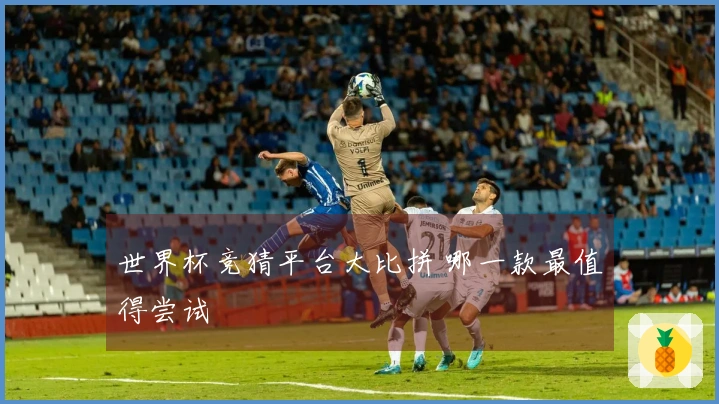 世界杯竞猜平台大比拼 哪一款最值得尝试