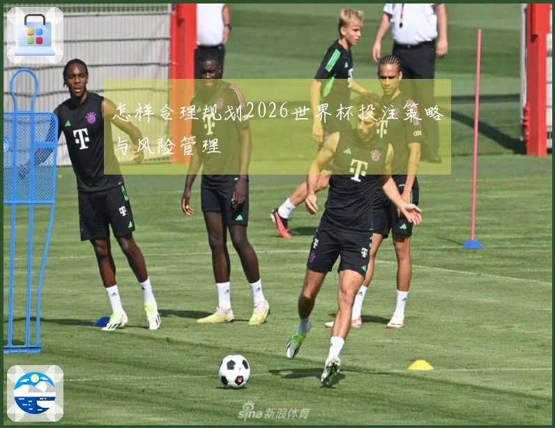 怎样合理规划2026世界杯投注策略与风险管理