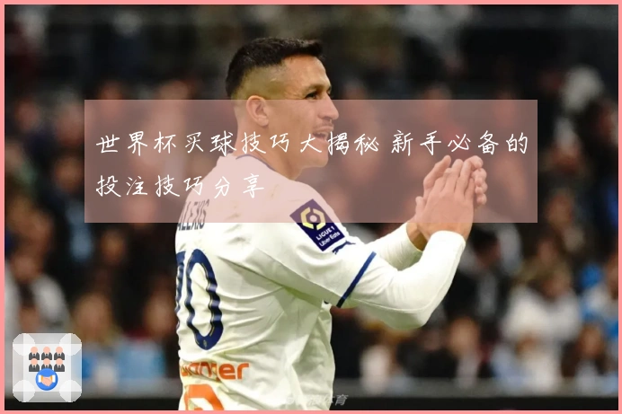 世界杯买球技巧大揭秘 新手必备的投注技巧分享