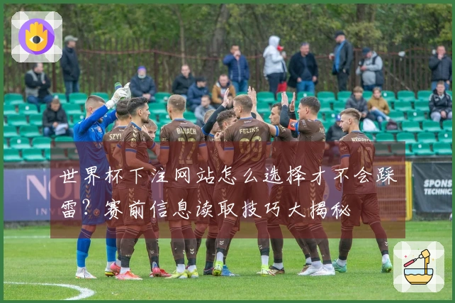 世界杯下注网站怎么选择才不会踩雷？赛前信息读取技巧大揭秘