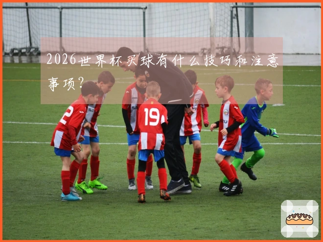 2026世界杯买球有什么技巧和注意事项？