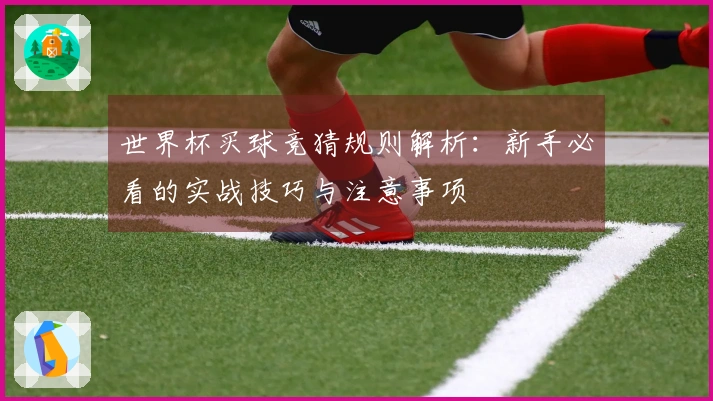 世界杯买球竞猜规则解析：新手必看的实战技巧与注意事项