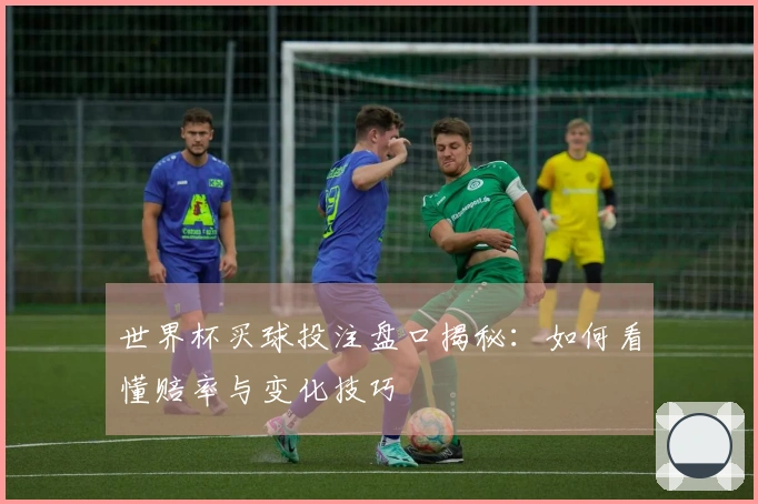 世界杯买球投注盘口揭秘：如何看懂赔率与变化技巧
