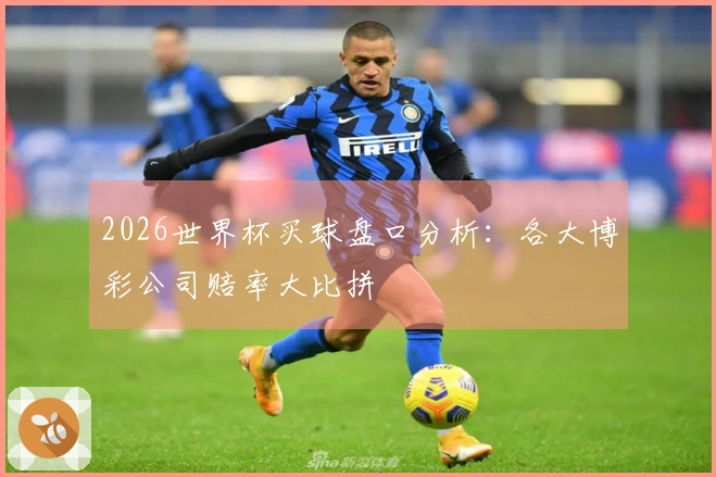 2026世界杯买球盘口分析：各大博彩公司赔率大比拼
