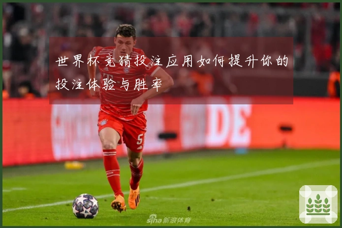 世界杯竞猜投注应用如何提升你的投注体验与胜率