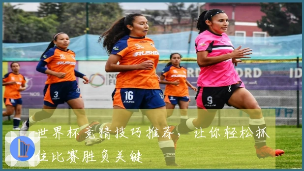 世界杯竞猜技巧推荐，让你轻松抓住比赛胜负关键