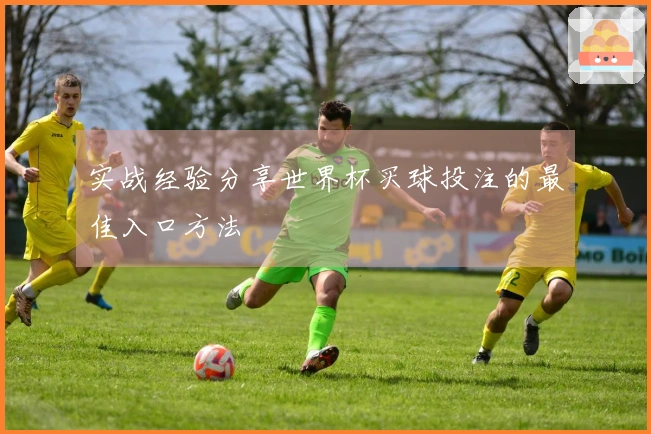 实战经验分享世界杯买球投注的最佳入口方法