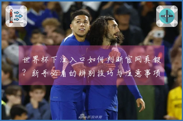 世界杯下注入口如何判断官网真假？新手必看的辨别技巧与注意事项