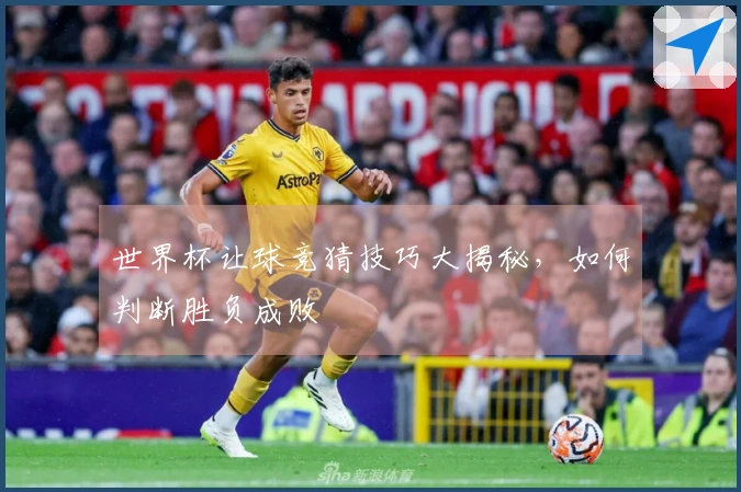 世界杯让球竞猜技巧大揭秘，如何判断胜负成败