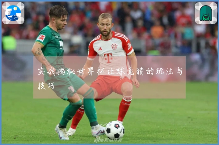实战揭秘世界杯让球竞猜的玩法与技巧