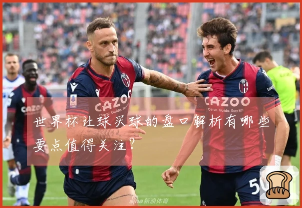 世界杯让球买球的盘口解析有哪些要点值得关注?
