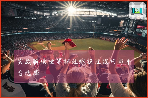实战解读世界杯让球投注技巧与平台选择