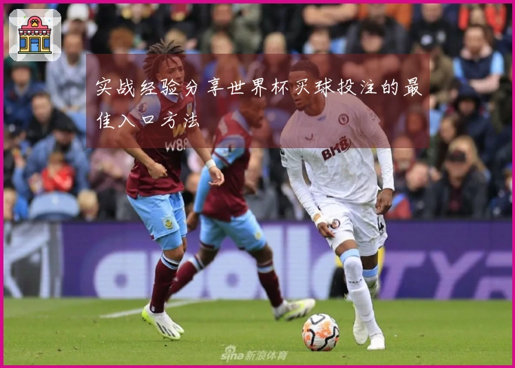 实战经验分享世界杯买球投注的最佳入口方法